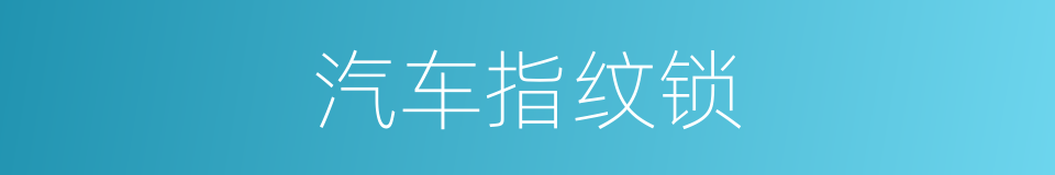 汽车指纹锁的同义词
