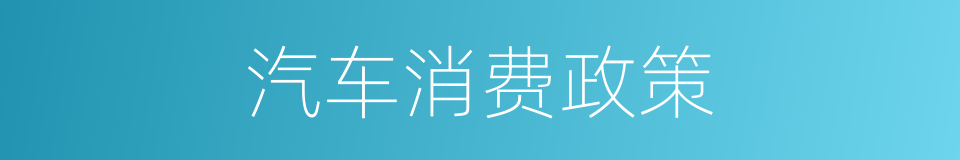 汽车消费政策的同义词