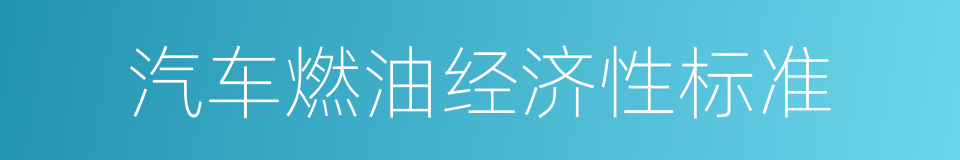 汽车燃油经济性标准的同义词