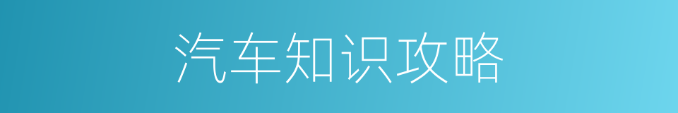 汽车知识攻略的同义词
