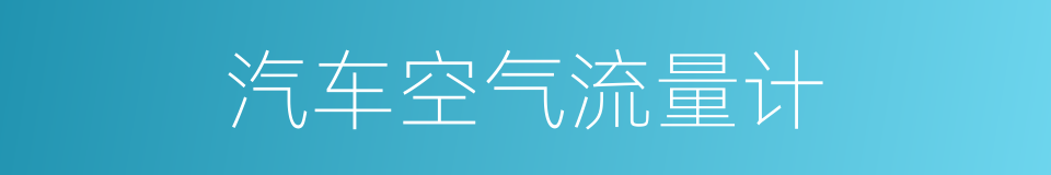 汽车空气流量计的同义词