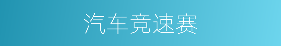 汽车竞速赛的同义词