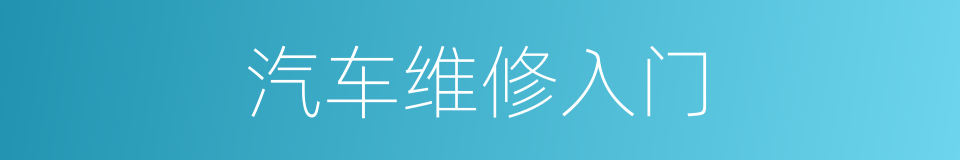 汽车维修入门的同义词