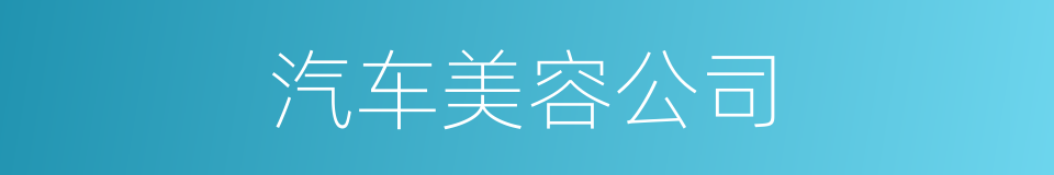汽车美容公司的同义词