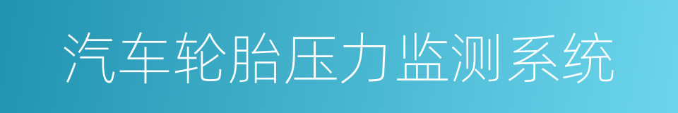 汽车轮胎压力监测系统的同义词
