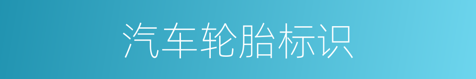 汽车轮胎标识的同义词