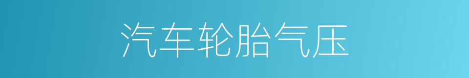 汽车轮胎气压的同义词