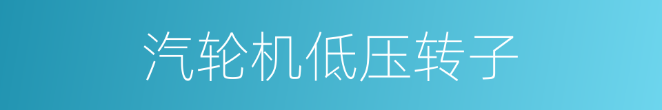 汽轮机低压转子的同义词