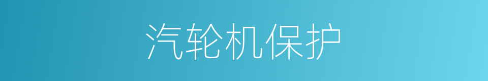 汽轮机保护的同义词