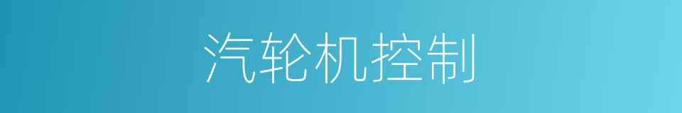 汽轮机控制的同义词