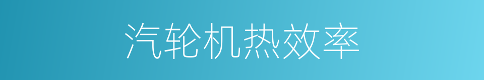 汽轮机热效率的同义词