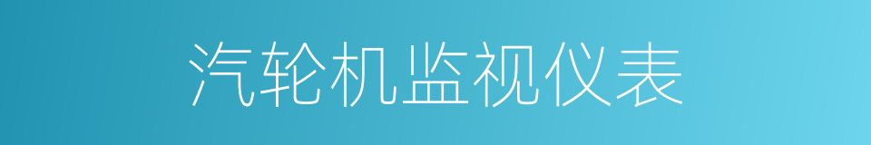 汽轮机监视仪表的同义词