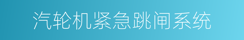 汽轮机紧急跳闸系统的同义词