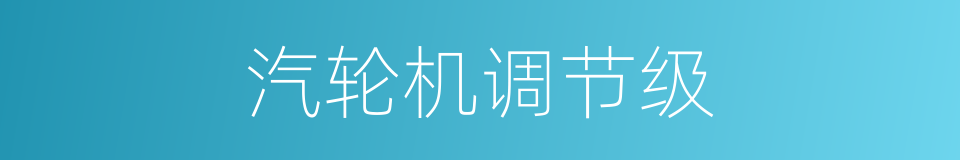 汽轮机调节级的同义词