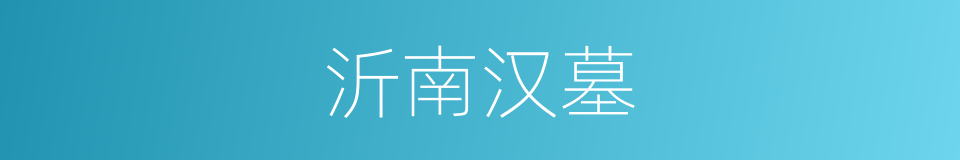 沂南汉墓的同义词