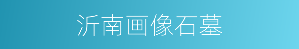沂南画像石墓的意思