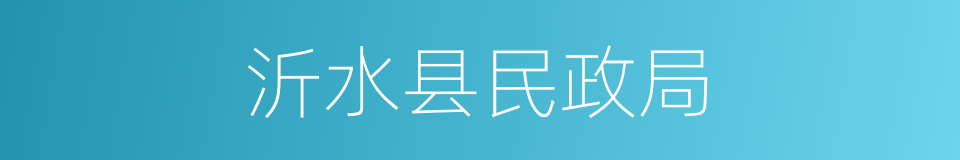 沂水县民政局的同义词