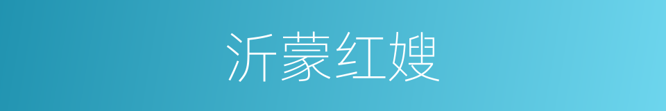 沂蒙红嫂的同义词