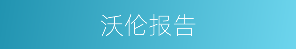 沃伦报告的同义词