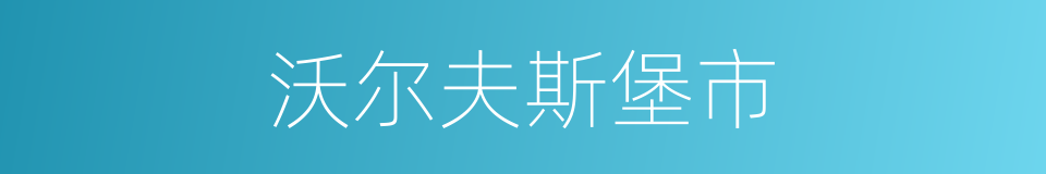 沃尔夫斯堡市的同义词