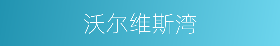 沃尔维斯湾的同义词
