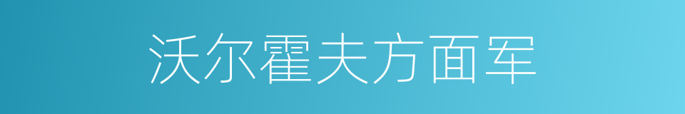 沃尔霍夫方面军的同义词