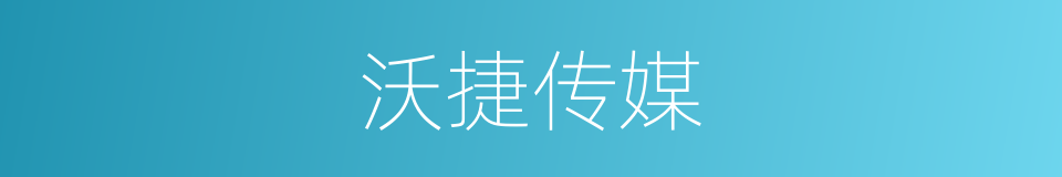 沃捷传媒的同义词