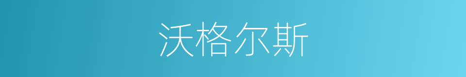 沃格尔斯的同义词