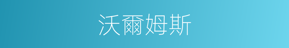 沃爾姆斯的同義詞