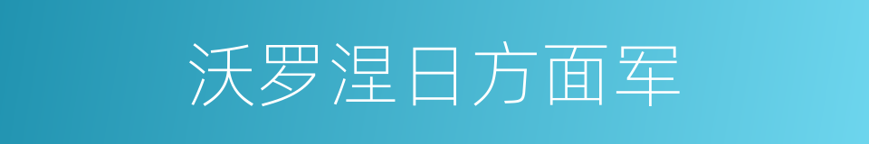 沃罗涅日方面军的同义词