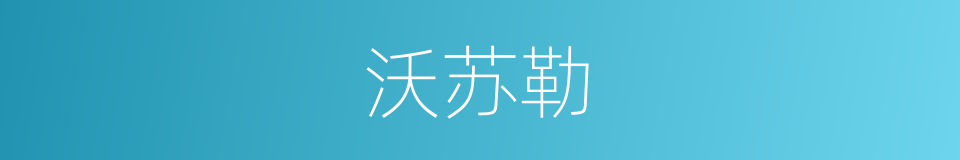 沃苏勒的同义词