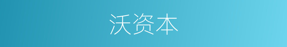 沃资本的同义词