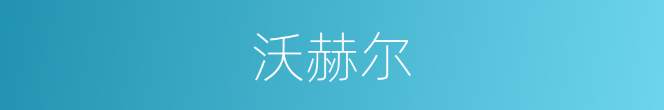 沃赫尔的同义词