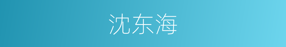沈东海的同义词