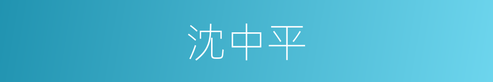 沈中平的同义词