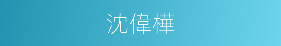 沈偉樺的同義詞