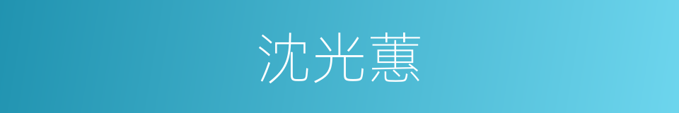 沈光蕙的同义词