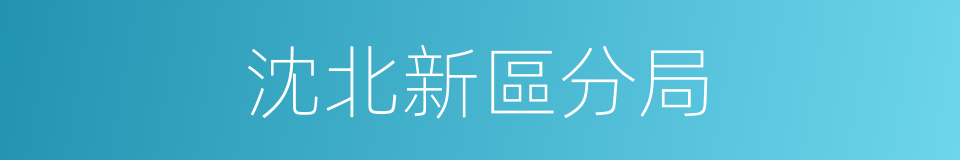 沈北新區分局的同義詞