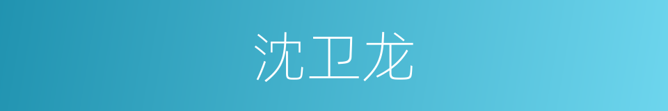 沈卫龙的同义词