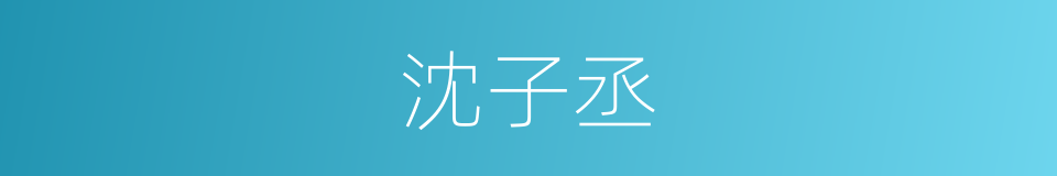 沈子丞的同义词