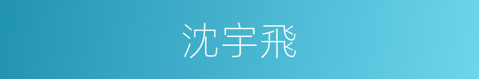 沈宇飛的同義詞