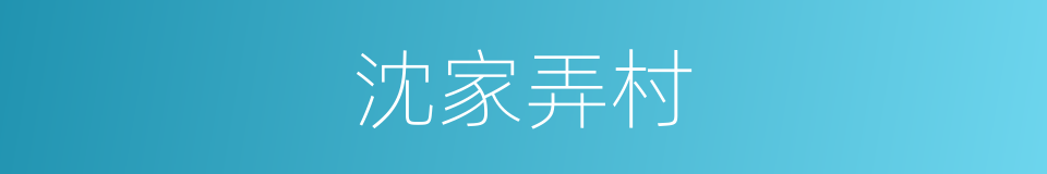 沈家弄村的同义词