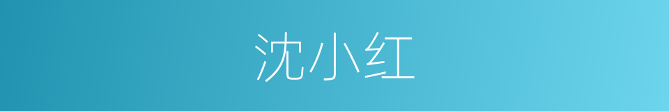 沈小红的同义词