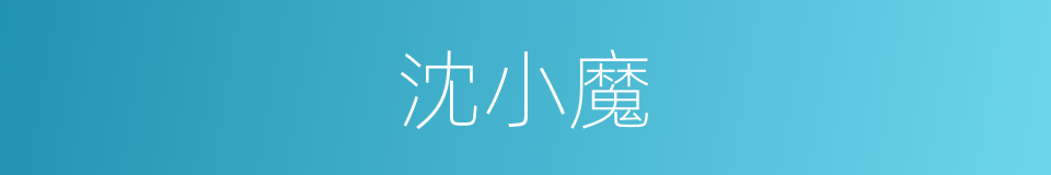 沈小魔的同义词