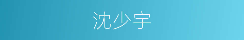 沈少宇的同义词