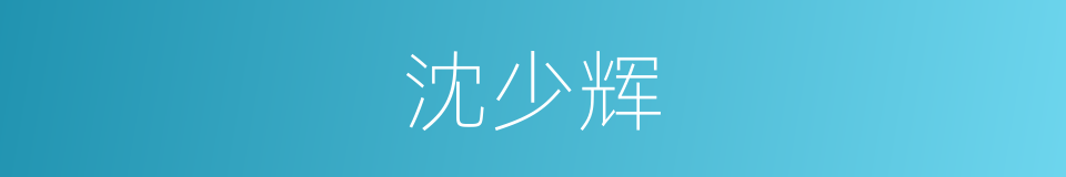 沈少辉的同义词