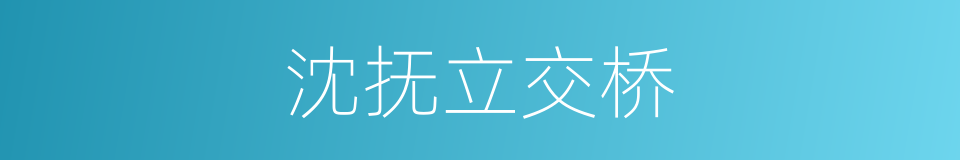 沈抚立交桥的同义词