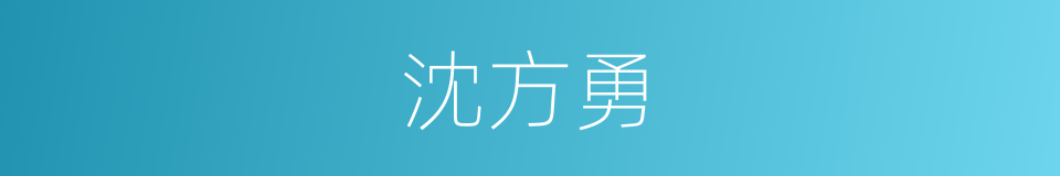 沈方勇的同义词