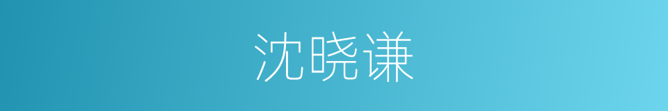 沈晓谦的同义词