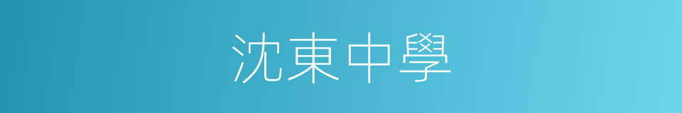 沈東中學的同義詞